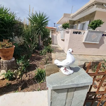 The Sunny Terrace House